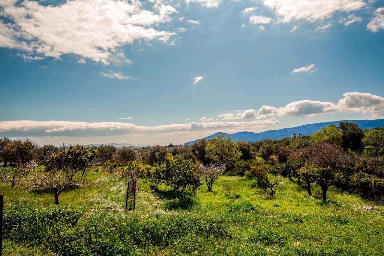 Ether Farmhouse Chora  Εξωτερικό φωτογραφία