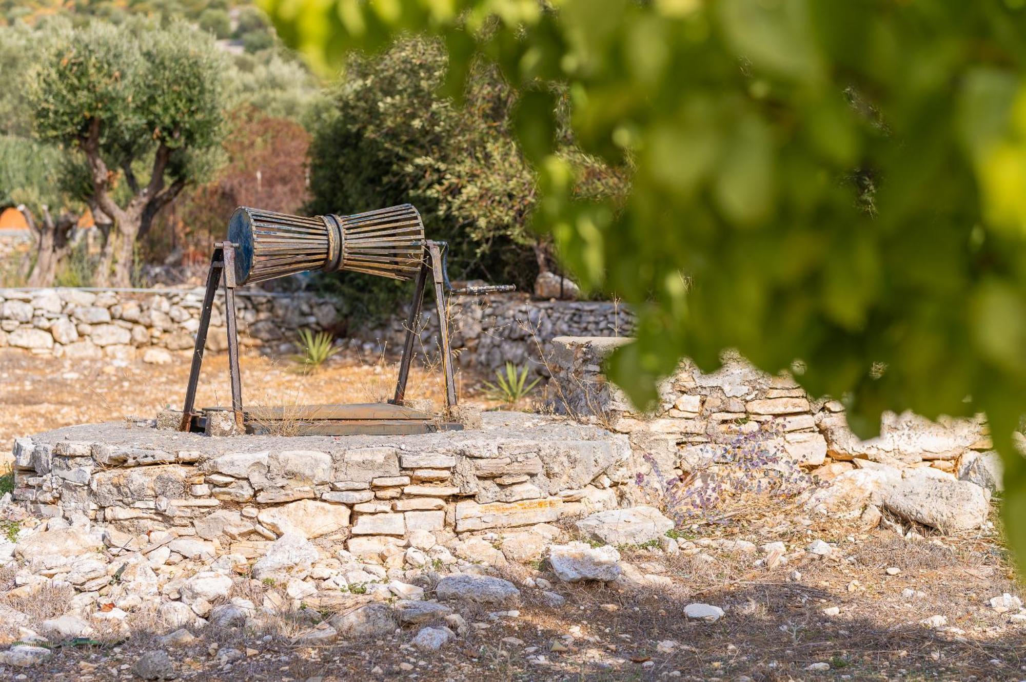 Ether Farmhouse Chora  Εξωτερικό φωτογραφία