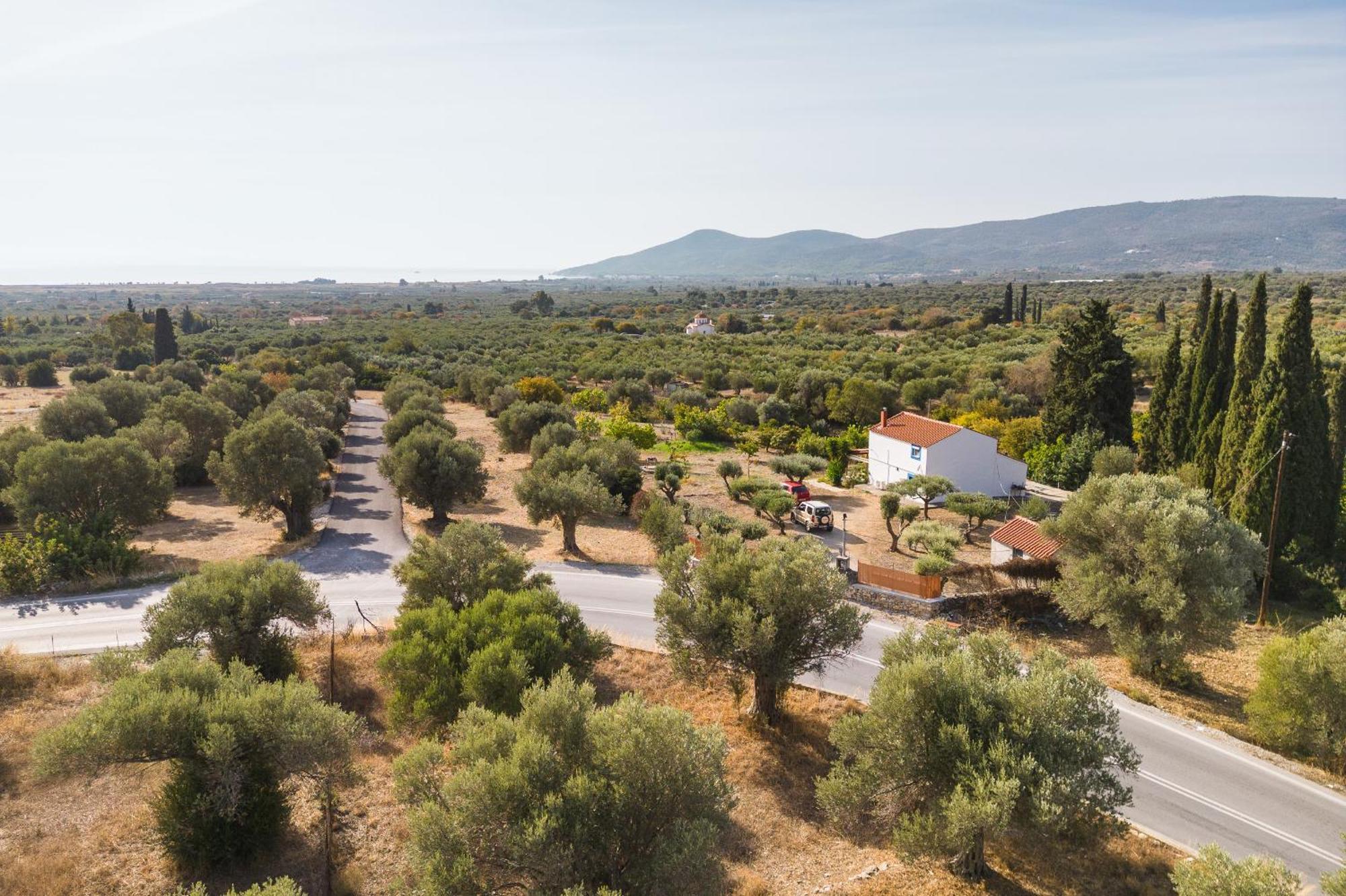 Ether Farmhouse Chora  Εξωτερικό φωτογραφία